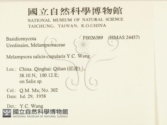 登錄號:F0026389藏品圖，第2張