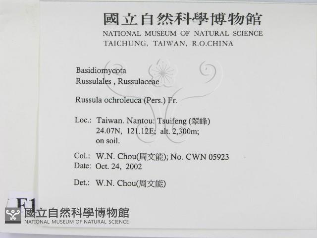 登錄號:F0016389藏品圖，第2張