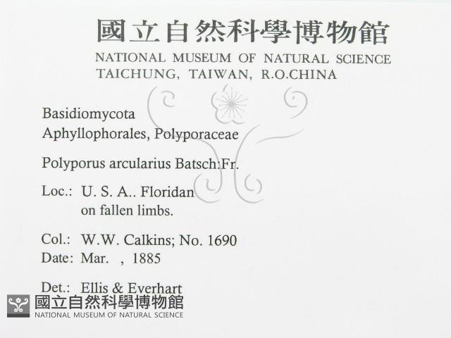 登錄號:F0011389藏品圖，第2張