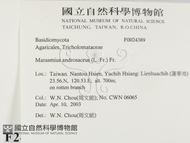 登錄號:F0024389藏品圖，第2張