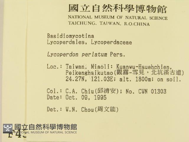 登錄號:F0004389藏品圖，第2張