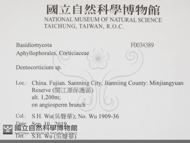 登錄號:F0034389藏品圖，第2張