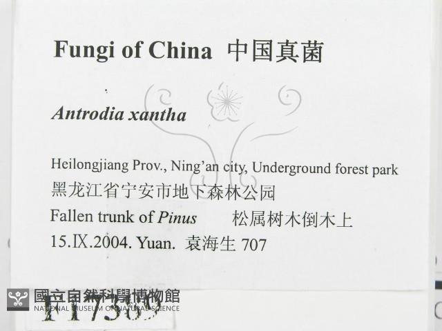 登錄號:F0017389藏品圖，第2張