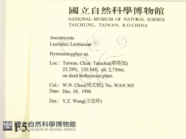 登錄號:F0005389藏品圖，第2張