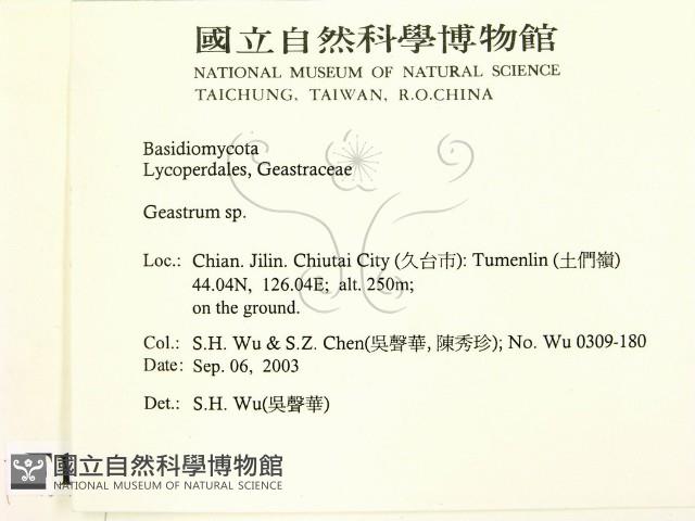 地星屬藏品圖，第2張