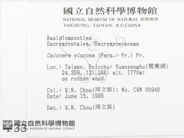 登錄號:F0003389藏品圖，第2張