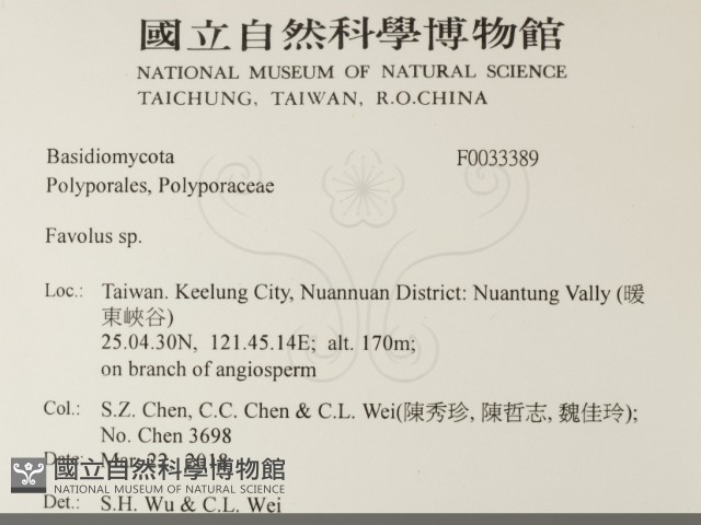 登錄號:F0033389藏品圖，第2張