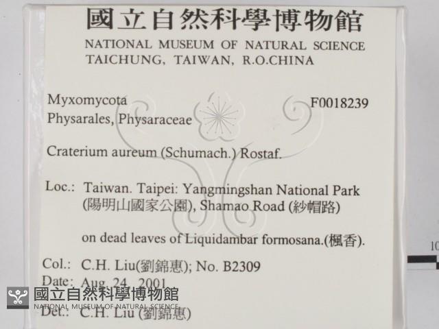 登錄號:F0018239藏品圖，第2張