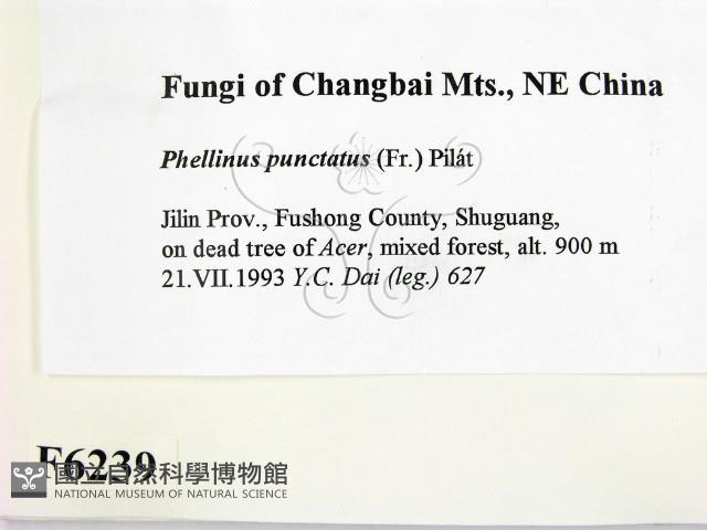 登錄號:F0006239藏品圖，第2張