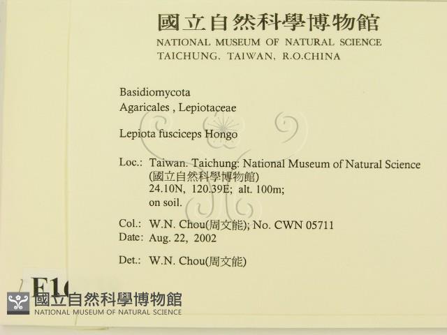 登錄號:F0016239藏品圖，第2張