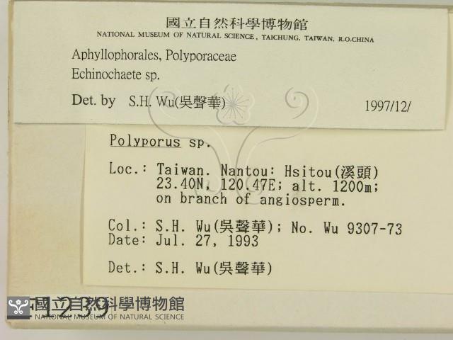 登錄號:F0001239藏品圖，第2張
