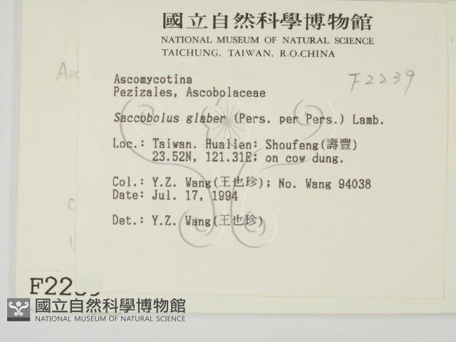 登錄號:F0002239藏品圖，第2張