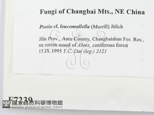 登錄號:F0007239藏品圖，第2張