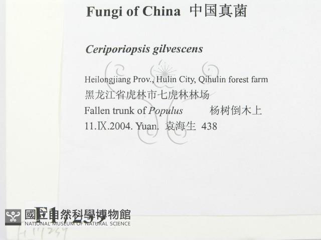 登錄號:F0017239藏品圖，第2張