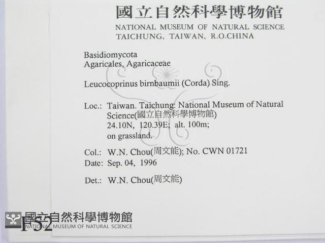 登錄號:F0005239藏品圖，第2張