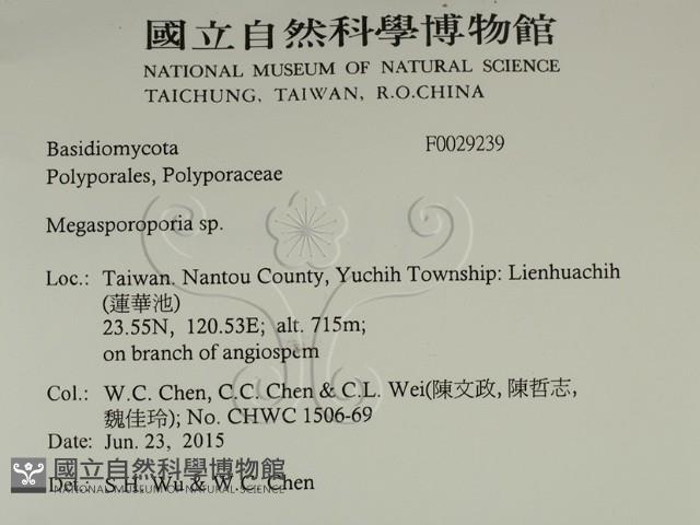登錄號:F0029239藏品圖，第2張