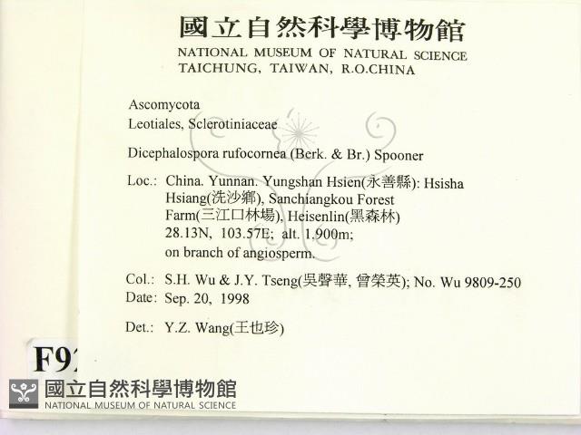登錄號:F0009239藏品圖，第2張