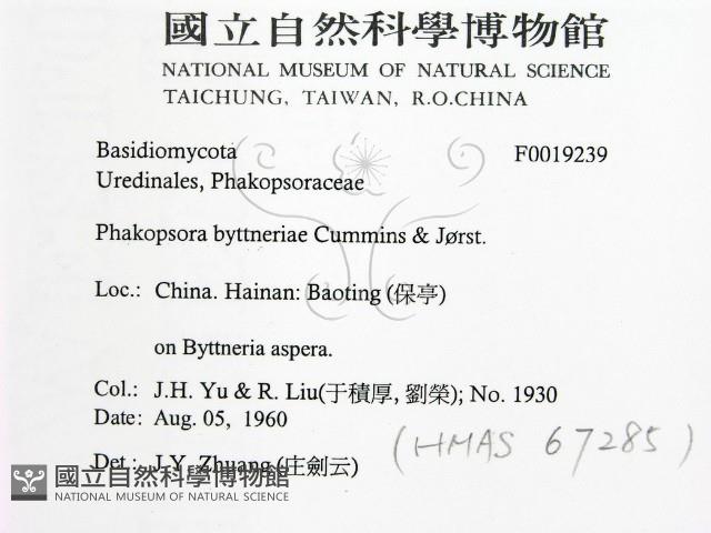 登錄號:F0019239藏品圖，第2張