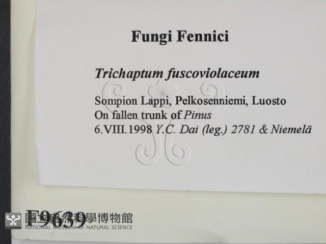 登錄號:F0009639藏品圖，第2張