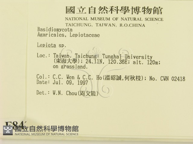 登錄號:F0008439藏品圖，第2張