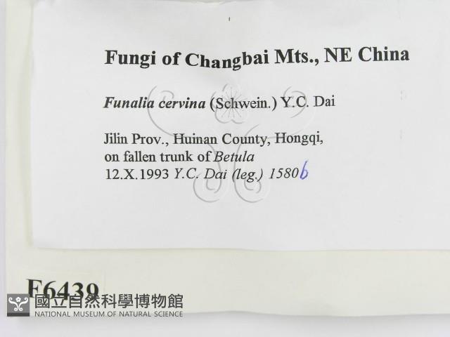 登錄號:F0006439藏品圖，第2張