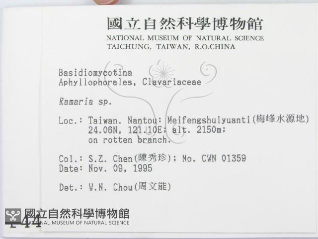 登錄號:F0004439藏品圖，第2張