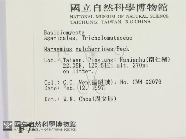 登錄號:F0007439藏品圖，第2張