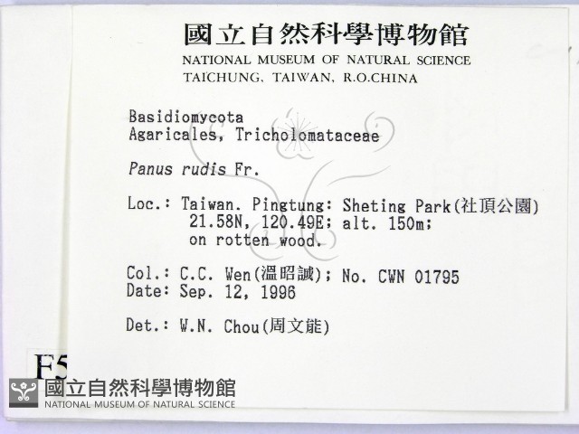 登錄號:F0005439藏品圖，第2張