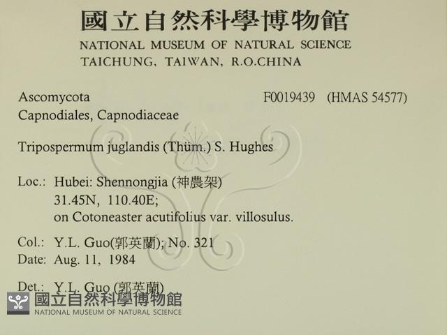 登錄號:F0019439藏品圖，第2張
