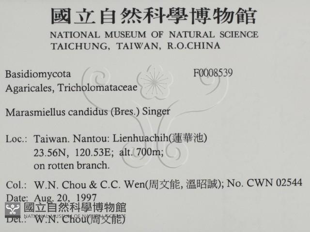 登錄號:F0008539藏品圖，第2張