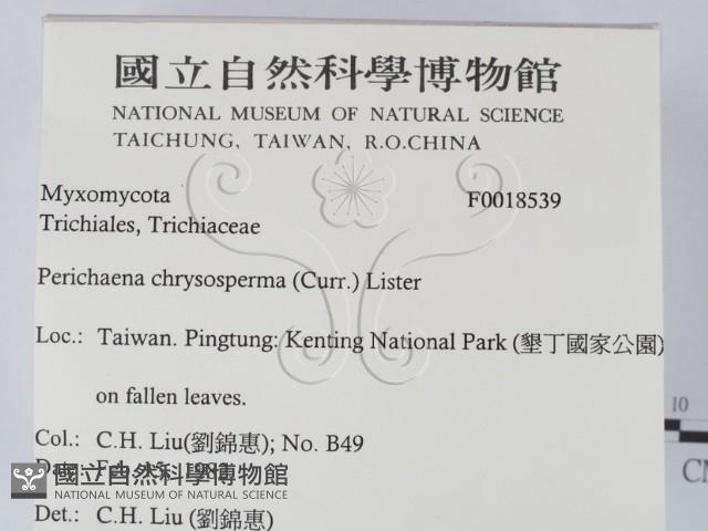 登錄號:F0018539藏品圖，第2張