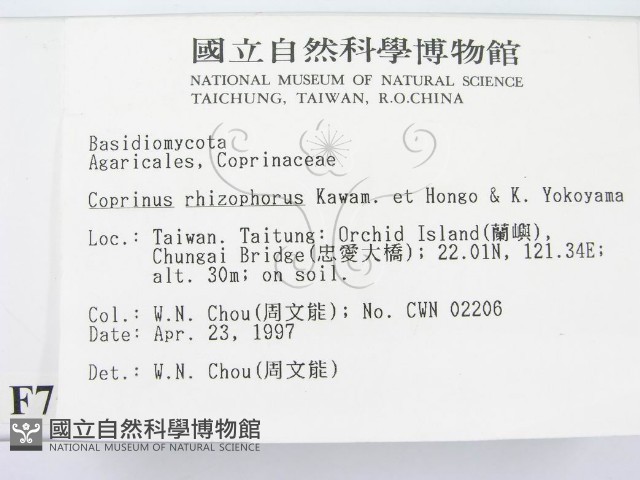 登錄號:F0007539藏品圖，第2張