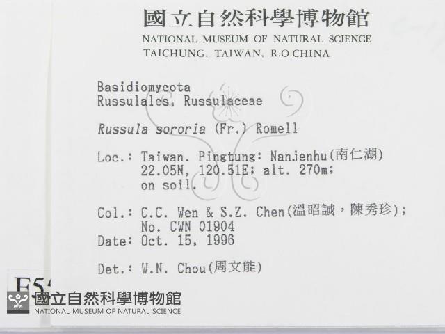 登錄號:F0005539藏品圖，第2張