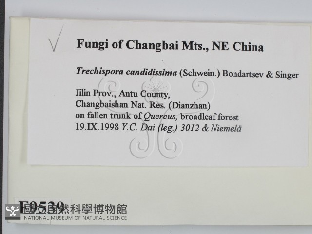 登錄號:F0009539藏品圖，第2張