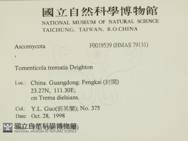 登錄號:F0019539藏品圖，第2張