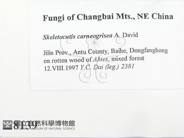 登錄號:F0008139藏品圖，第2張