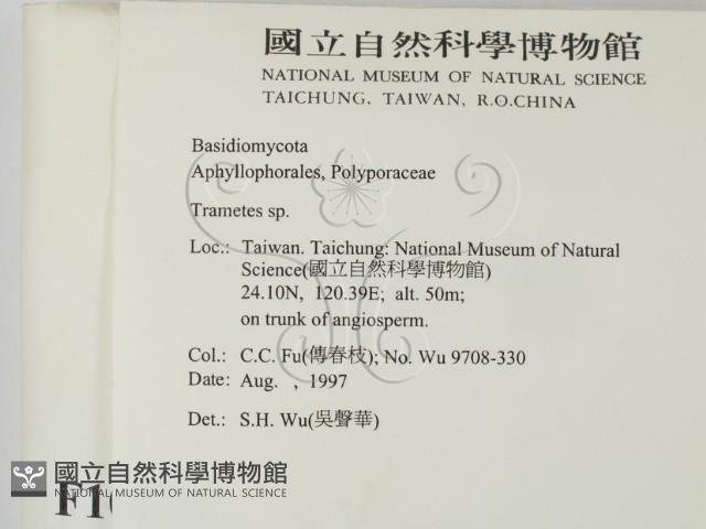 栓菌屬藏品圖，第2張