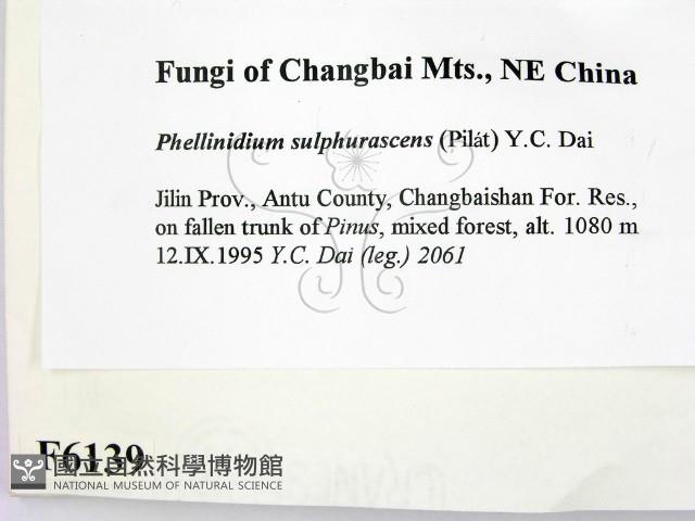 登錄號:F0006139藏品圖，第2張