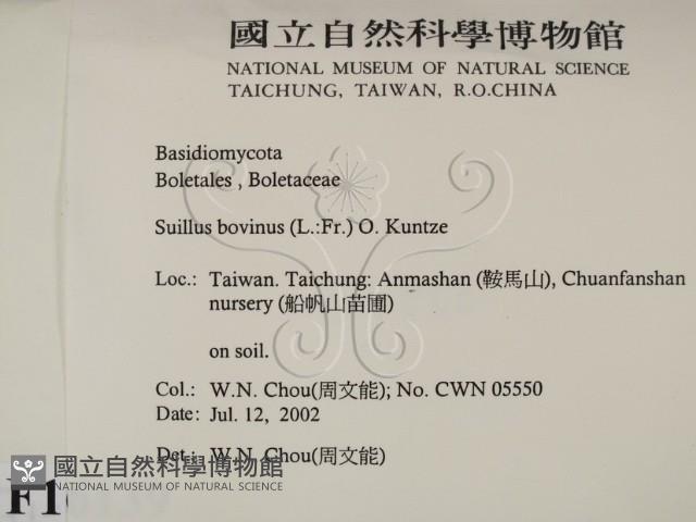登錄號:F0016139藏品圖，第2張