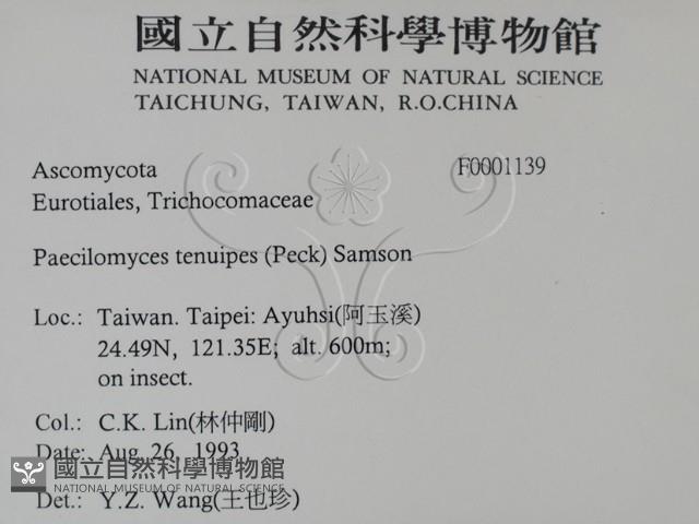 登錄號:F0001139藏品圖，第2張
