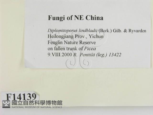 登錄號:F0014139藏品圖，第2張