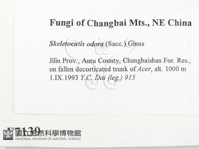 登錄號:F0007139藏品圖，第2張