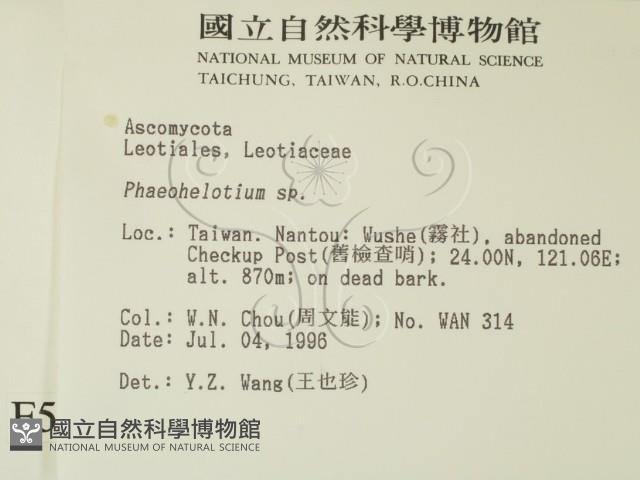 登錄號:F0005139藏品圖，第2張