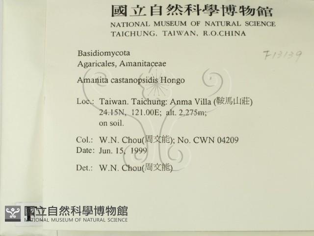 登錄號:F0013139藏品圖，第2張