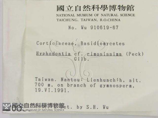 登錄號:F0000039藏品圖，第2張
