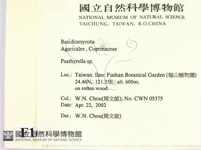 登錄號:F0016039藏品圖，第2張