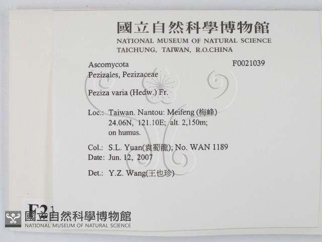 登錄號:F0021039藏品圖，第2張