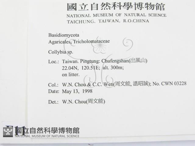 登錄號:F0011039藏品圖，第2張