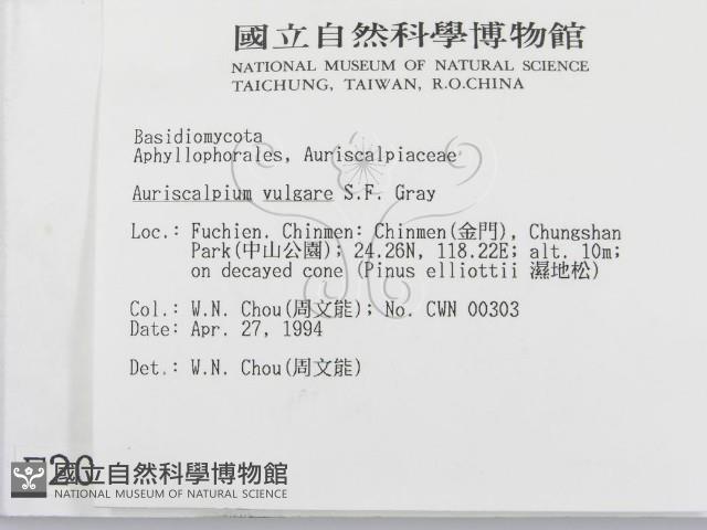 登錄號:F0002039藏品圖，第2張
