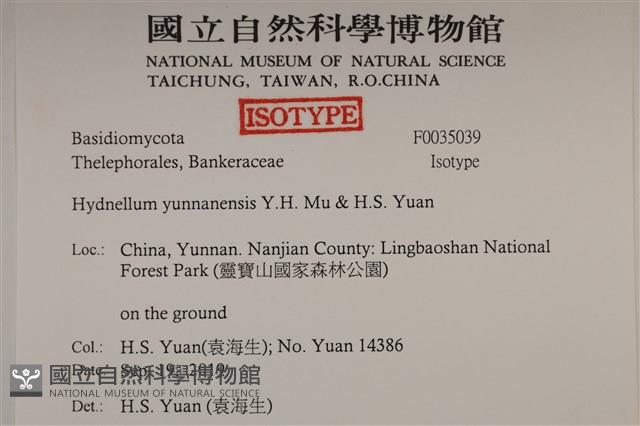 登錄號:F0035039藏品圖，第2張